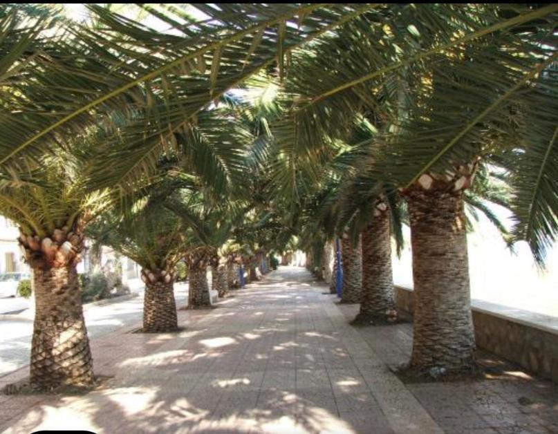 Vcc Home'S Puerto de Mazarron Luaran gambar